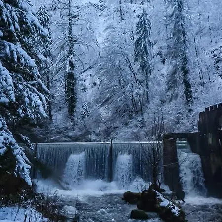 Dvije Lipe 아파트