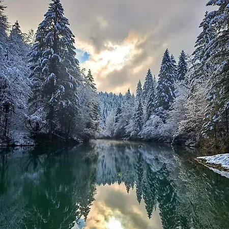 Dvije Lipe *